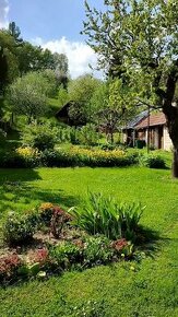 Predám starší rodinný dom v obci Kľačno - záhrada 1922 m²