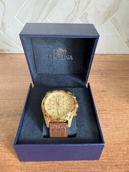 Pánske hodinky FESTINA 16880/2