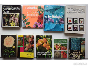 Záhrada, kvety, pestovanie 2