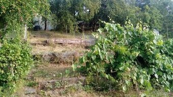 Záhrada Banská Bystrica