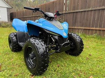 Cf moto gladiator 110