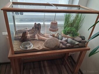 Predam terarium