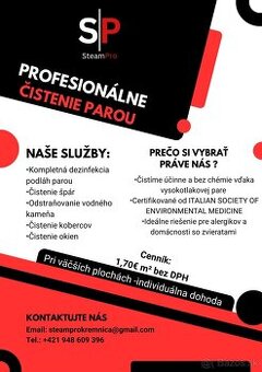Profesionálne parné čistenie