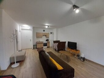 Investičný 1 izbový byt s terasou a parkovacím miestom v cen