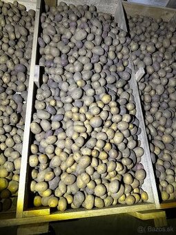 Predám zemiaky na zimné uskladnenie