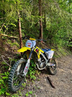 Suzuki Rmz 250 2008 - 1