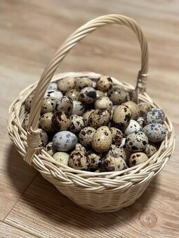 Prepeličie vajíčka