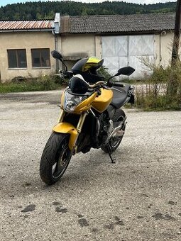 Honda CB600 Hornet 25kw v TP