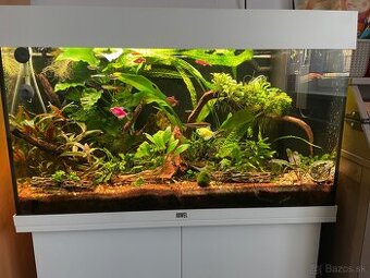 Predám  kompletne akvárium  juwel rio 125