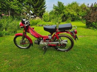 Jawa betka