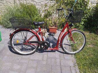 Dámsky bicykel - 1