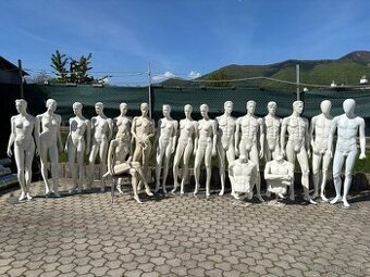 Figurína dámska a pánska - živá veľkosť, torzo, do výkladu