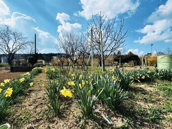 Predaj pozemok (záhrada) 358m2 Nitra – Chrenová