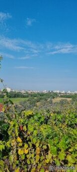 Pozemok Levice