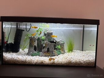Predám komplet akvárium