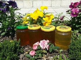 Med včelí domáci fľaša