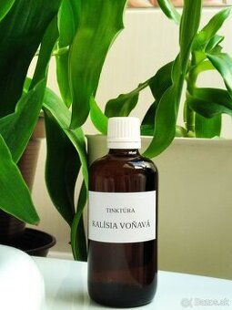 Kalisia vonava - tinktura