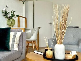 Prenájom 3 izb. byt, balkón, centrum, rekonštrukcia