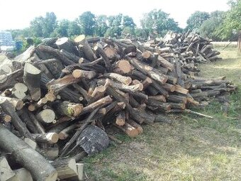 Predám tvrdé palivové drevo agát metrovica