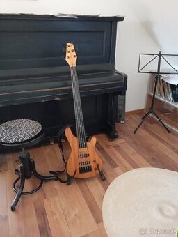 Basgitara - 5 strunova