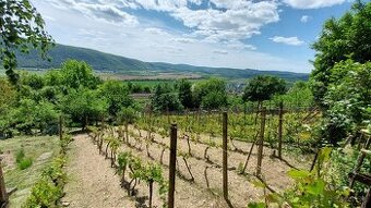 ZÁHRADNA CHATA S VINICOU, JABLONOV NAD TURŇOU