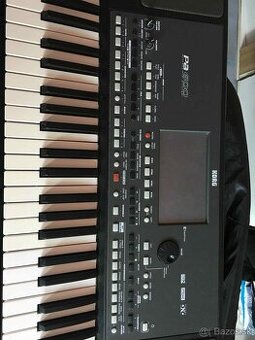 Korg