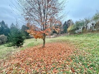 Predaj pozemku v pokojnej lokalite obce Olešná - 1