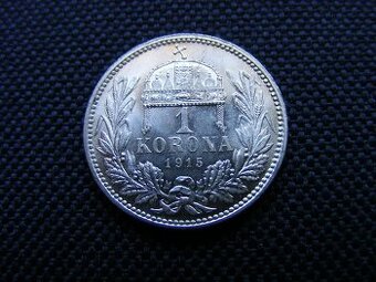 1 koruna 1915 KB