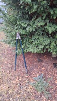 Nožnice na strihanie konárov