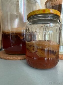 Kombucha
