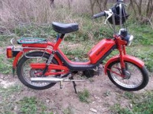 Predam babetu 210
