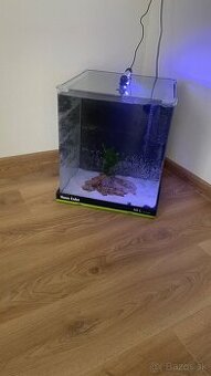 Akvarium