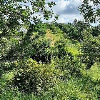Pozemok na predaj - Stupava