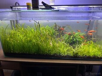 Predám akvárium 150L s komplet vybavením