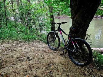 CTM Charisma 2.0 2022 - 1