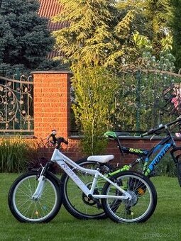 Bicykel Romet Jelene 20
