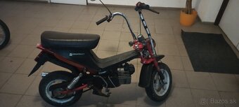 Babetta Stella 134