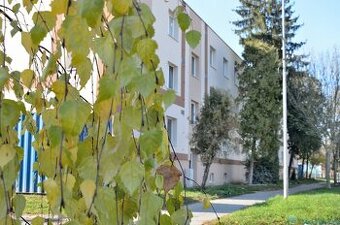 Zateplený tehlový byt s novými plastovými oknami, Veľké Kapu - 1