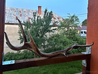 Parohy,parožie,zhody