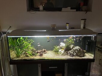 Akvarium 150x50x50