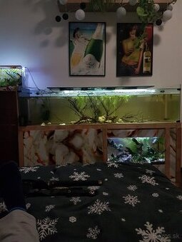 Akvarium terarium 160 40 40