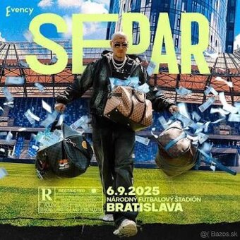Separ - Národny futbalový štadión sedenie Sektor C102