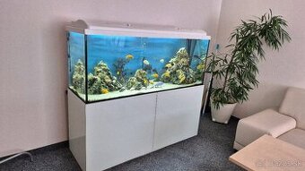 450l akvárium