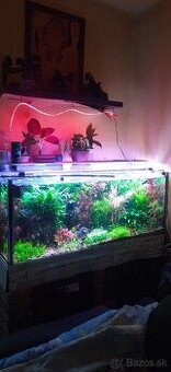 Akvatera, rastliny, krevetky , šváby a iné