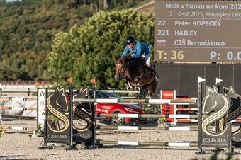 8 ročna Top Kobyla do športu