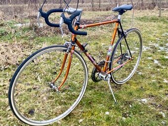 Favorit special 1964