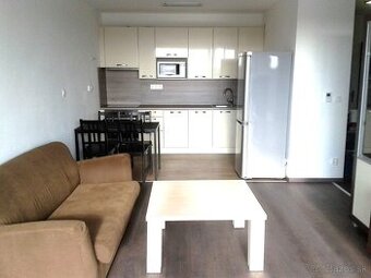 Prenaj.1-izb.byt v BA 2, v novostavbe