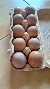 Domace vajcia