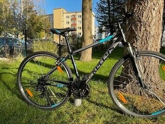 2024, Kellys Cliff 10 - Nový