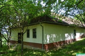 Domček na chalupárčenie pod starou morušou